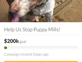 Stop puppy mills